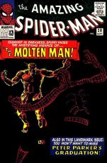 The Amazing Spider-Man #28 (okładka przedruku)