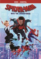Spider-Man: Into the Spider-Verse (DVD)