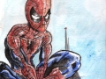 spidey16