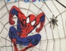 Spider-Man Serial TV 2/98