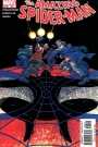 The Amazing Spider-Man #507