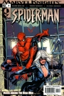 Marvel Knights: Spider-Man #4