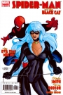 Spider-Man/Black Cat: The Evil That Men Do #6