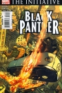 Black Panther #27