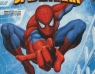Spider-Sense Spider-Man