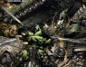 World War Hulk #3