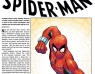The Amazing Spider-Man #10