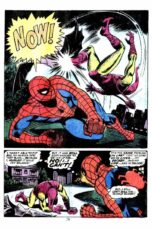 The Amazing Spider-Man Annual #9