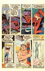 Peter Parker, The Spectacular Spider-Man #22