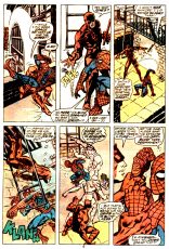 Peter Parker, The Spectacular Spider-Man #27