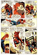 Peter Parker, The Spectacular Spider-Man #27