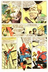 Peter Parker, The Spectacular Spider-Man #48