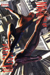 Daredevil / Spider-Man #2
