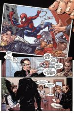 Ultimate Spider-Man #1/2