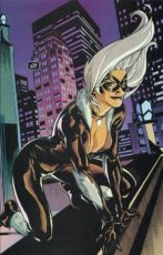 Spider-Man/Black Cat: The Evil That Men Do #1