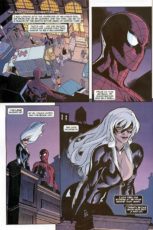 Spider-Man/Black Cat: The Evil That Men Do #2