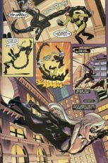 Spider-Man/Black Cat: The Evil That Men Do #2