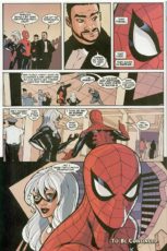 Spider-Man/Black Cat: The Evil That Men Do #2