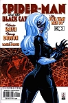 Spider-Man/Black Cat: The Evil That Men Do #2