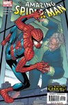 The Amazing Spider-Man #506