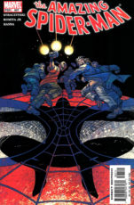 The Amazing Spider-Man #507
