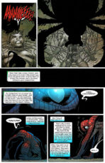 The Amazing Spider-Man #507