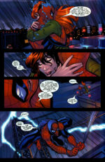 Marvel Knights: Spider-Man #12