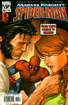 Marvel Knights: Spider-Man #13