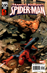 Marvel Knights: Spider-Man #15