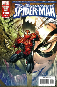 The Sensational Spider-Man #24