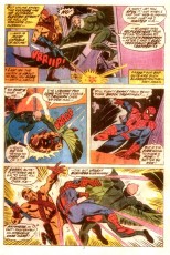 Peter Parker The Spectacular Spider-Man #5
