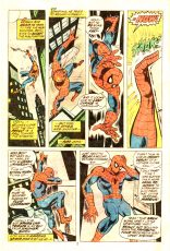 Peter Parker The Spectacular Spider-Man #6
