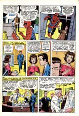 The Amazing Spider-Man #13