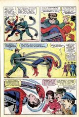 The Amazing Spider-Man #12