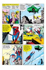 The Amazing Spider-Man #17