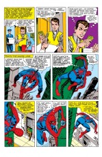 The Amazing Spider-Man #24