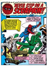 The Amazing Spider-Man #29