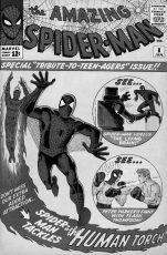 The Amazing Spider-Man #8 (okładka czarno-biała)