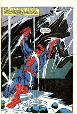 The Amazing Spider-Man #33