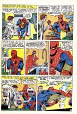 The Amazing Spider-Man #33