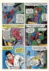 The Amazing Spider-Man #39