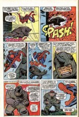 The Amazing Spider-Man #43