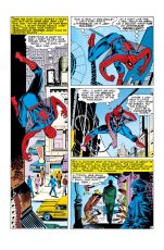 The Amazing Spider-Man Annual #2