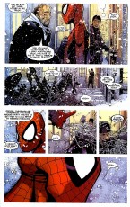 The Amazing Spider-Man #555