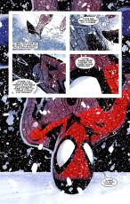 The Amazing Spider-Man #556