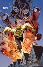 The Amazing Spider-Man #24