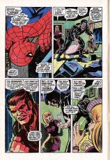 The Amazing Spider-Man #73