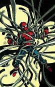 Peter Parker: The Spectacular Spider-Man #304