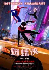 Spider-Man: Into the Spider-Verse