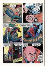 The Amazing Spider-Man #84